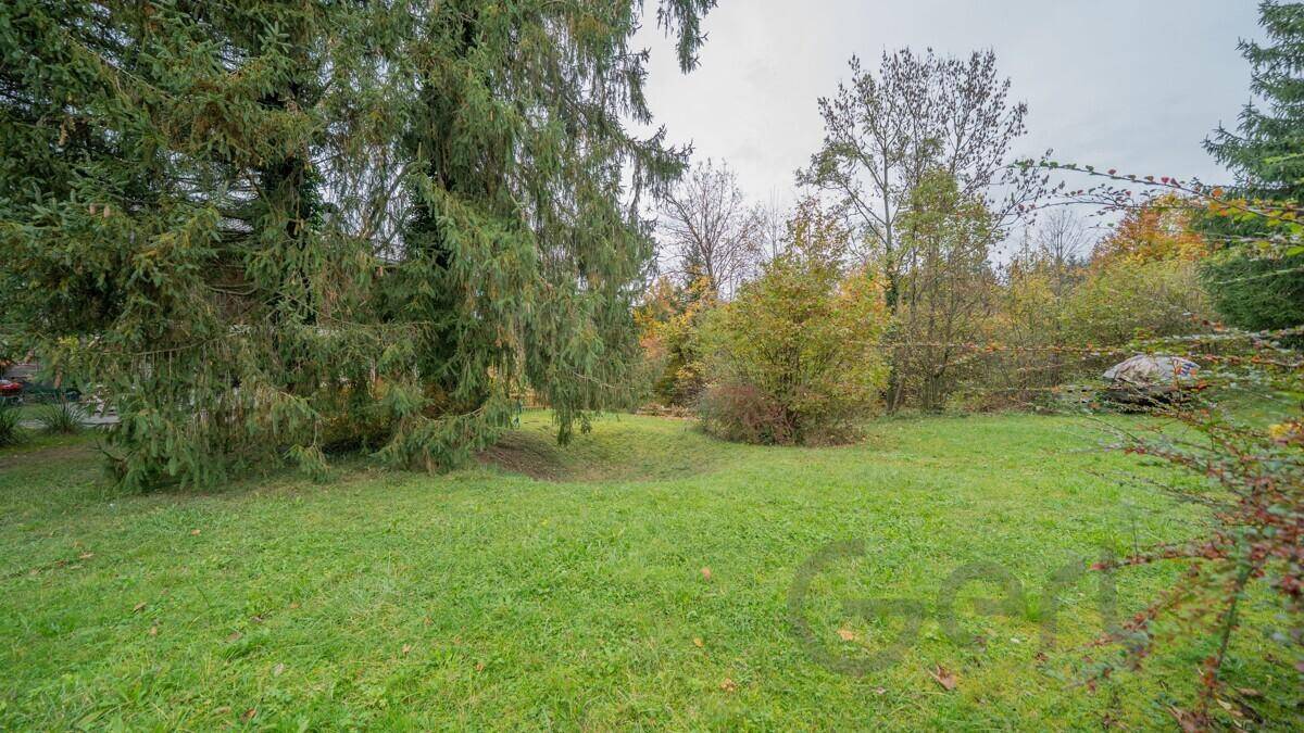 Weitläufige Grünfläche mit verschiedenen Bäumen und Sträuchern, ideal für Erholung im Freien.