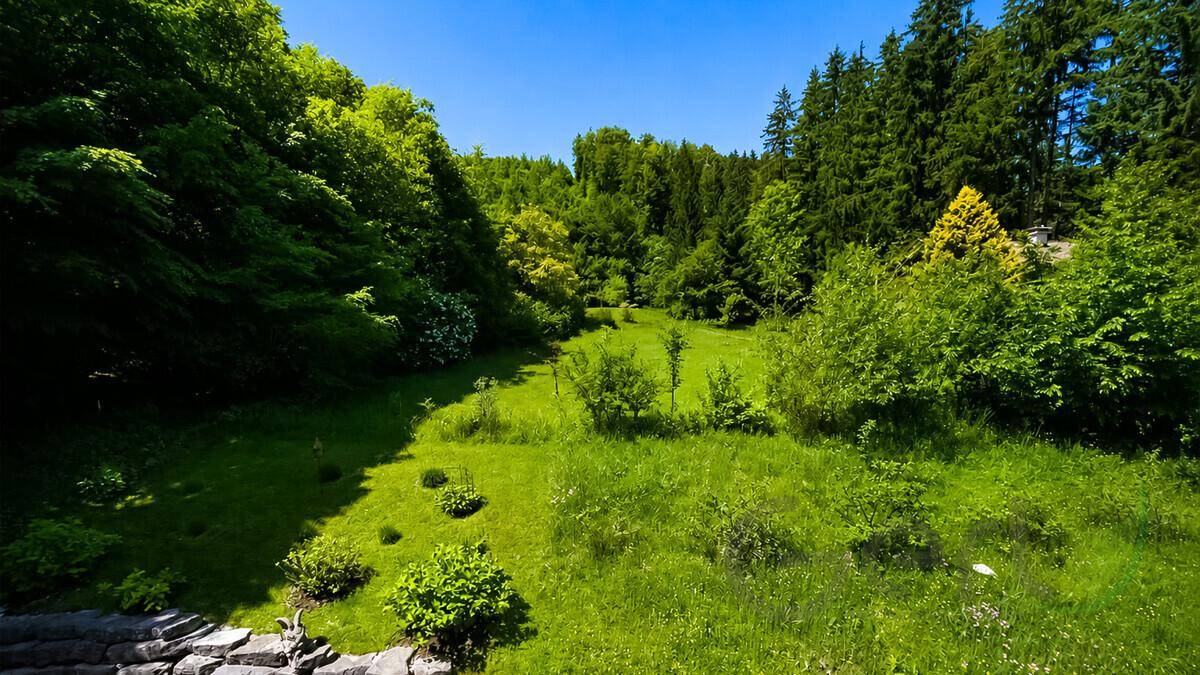 Idyllische Grünfläche mit weiten Wiesen und umgebendem Wald, ideal für Naturliebhaber.