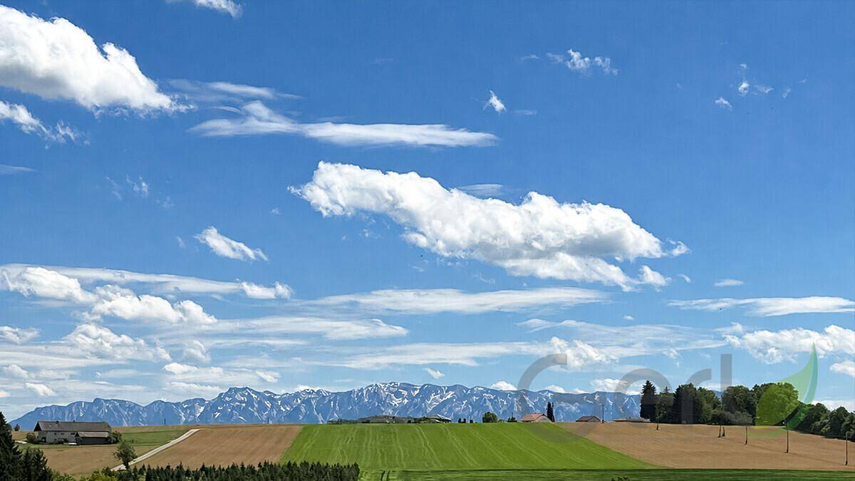 Weitläufige Landschaft mit grünen Feldern und majestätischen Bergen unter einem strahlend blauen Himmel.