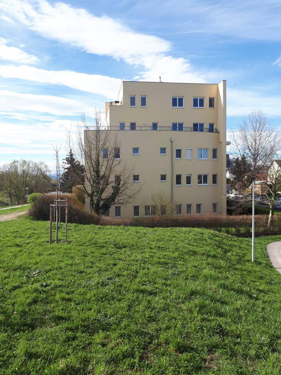 Seitenansicht eines modernen Wohngebäudes mit gelber Fassade und vielen Fenstern, umgeben von einer weitläufigen Grünfläche.