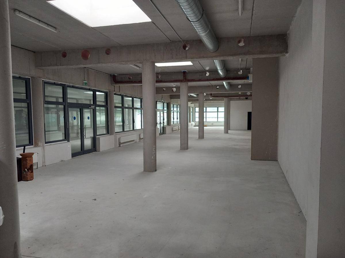 Weitläufiger, leerer Gewerberaum mit mehreren Betonsäulen, hohen Decken und großen Fensterfronten, die den Raum erhellen.