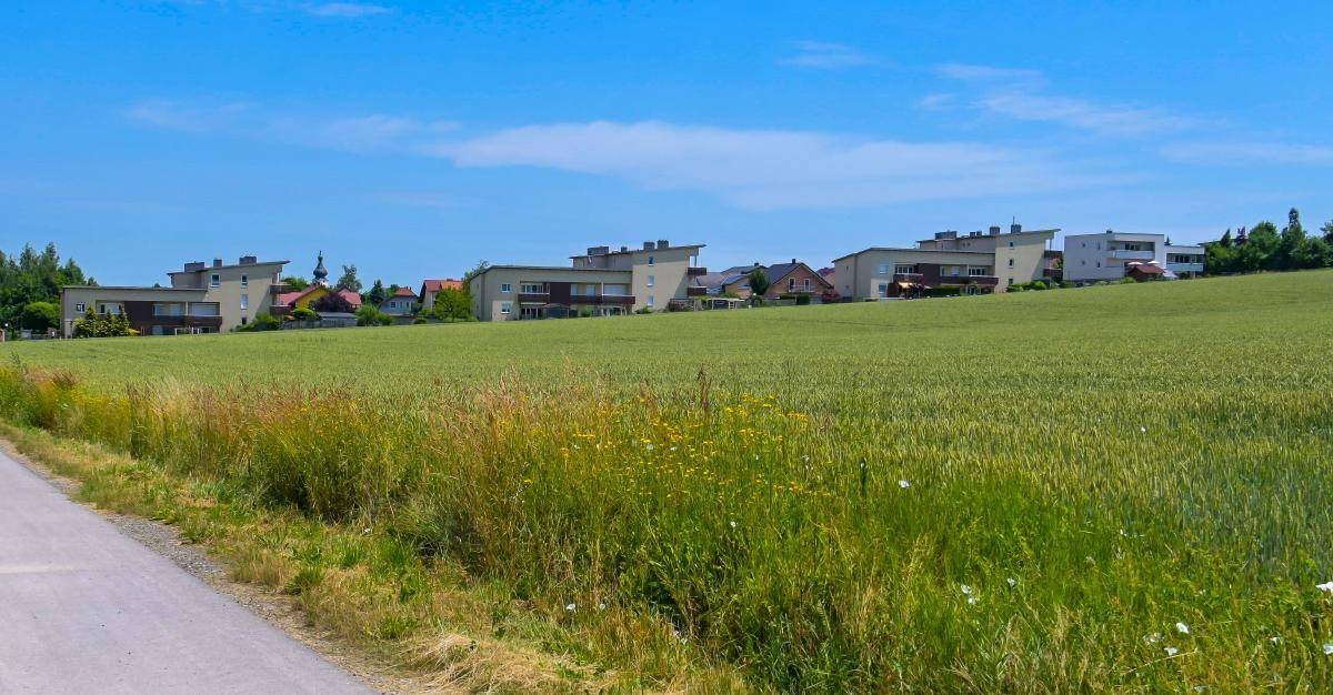 Reihen von Wohngebäuden am Horizont, umgeben von weiten grünen Feldern unter blauem Himmel.