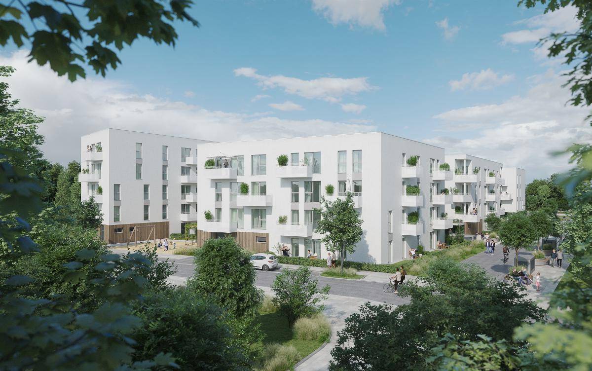 WIENER NEUSTADT X/1, geförderte Mietwohnung mit Kaufoption, H4/1_1D_3OG_Top 25, 1000/00011831/00001425