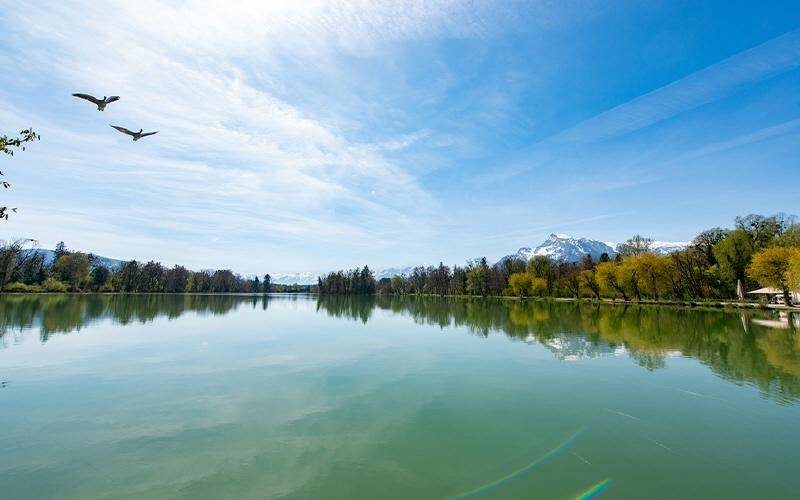 HP6-Grundstück-Salzburg-Leopoldskron-Umgebung