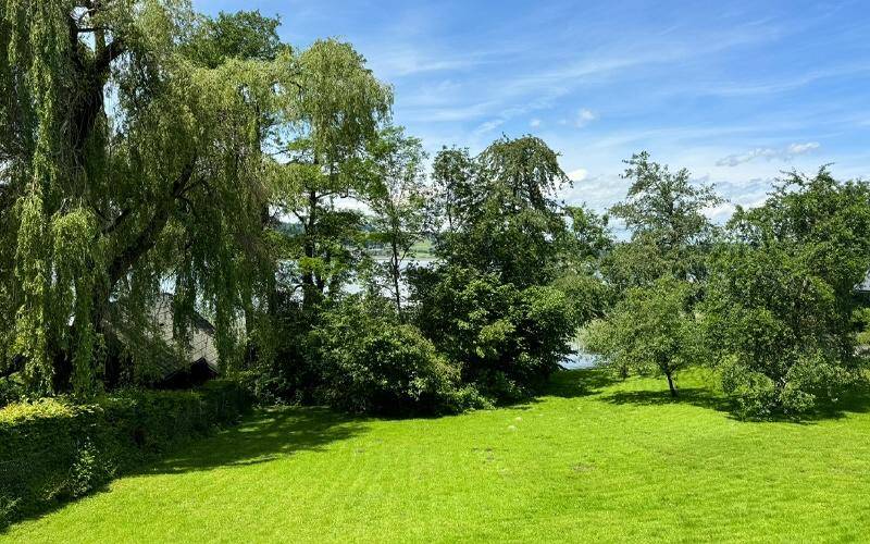 Gepflegter grüner Rasen mit hohen Bäumen und einem Blick auf den See im Hintergrund unter blauem Himmel.
