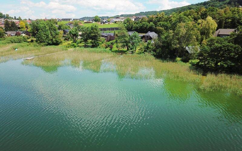 Luftaufnahme eines Sees mit Schilfgürtel, umgeben von grünen Bäumen und Häusern am Ufer unter blauem Himmel.