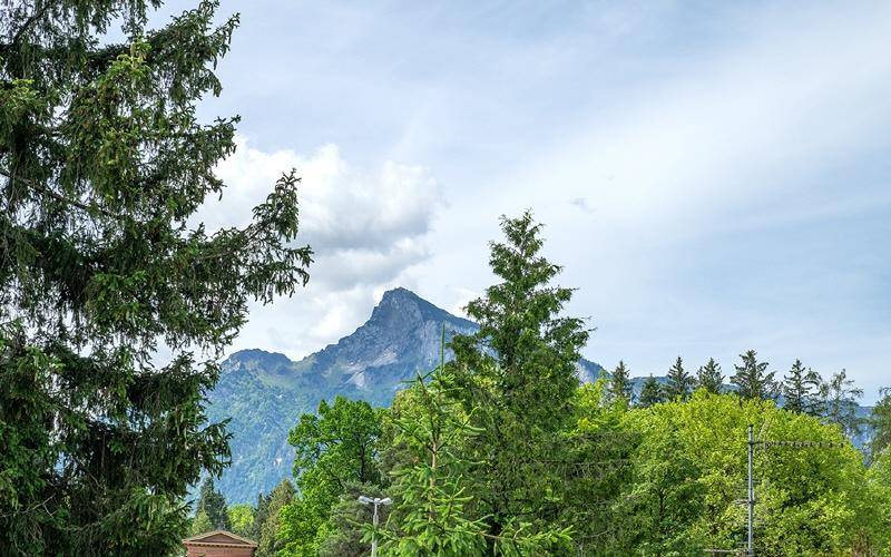 Terrassenwohnung-Salzburg-Nonntal-Aussicht