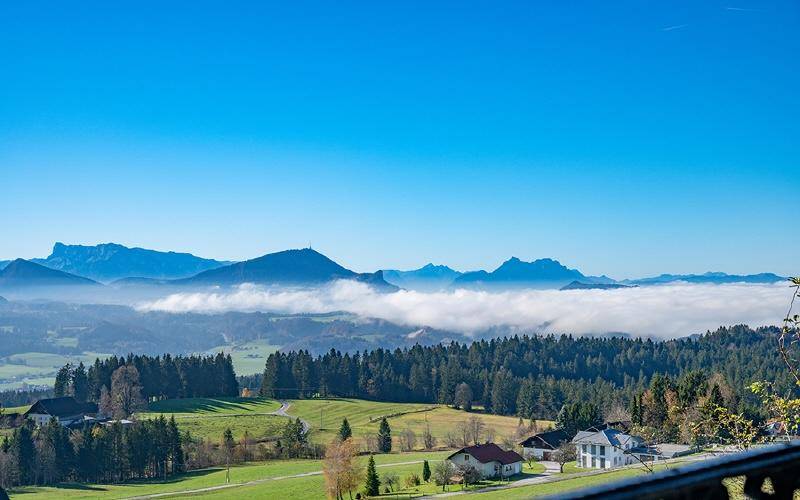 Grundstück-Thalgau bei Salzburg-Aussicht