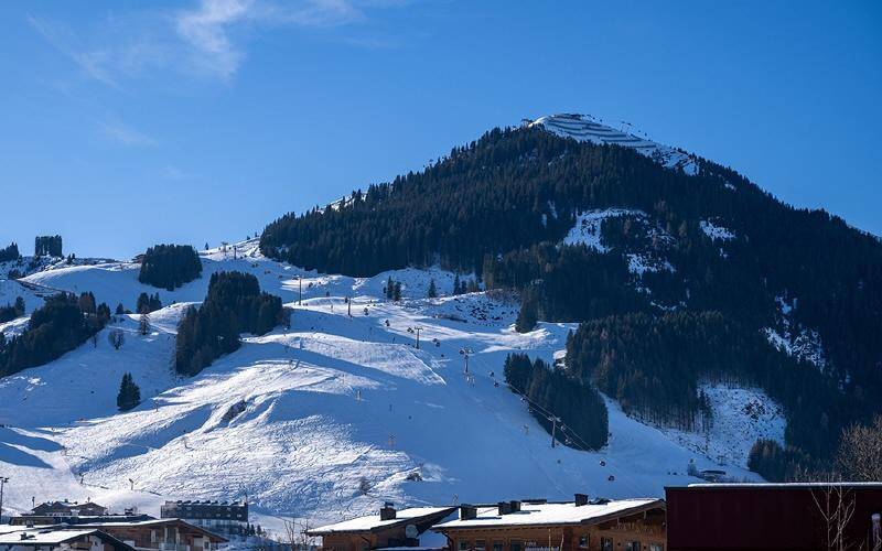 Chalet-Ensemble-Saalbach-Hinterglemm-Umgebung