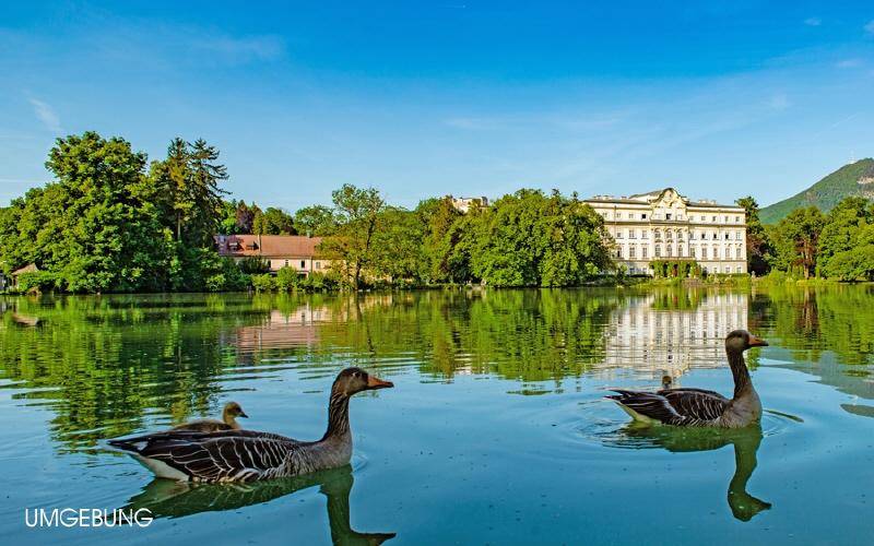 Grundstück-Salzburg-Leopoldskron-5