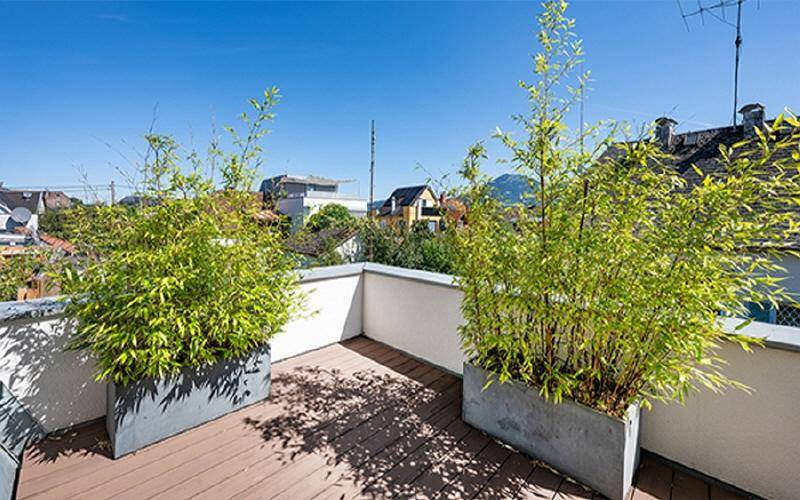 HP-Doppelhaushälfte-Salzburg-Gneis-Dachterrasse