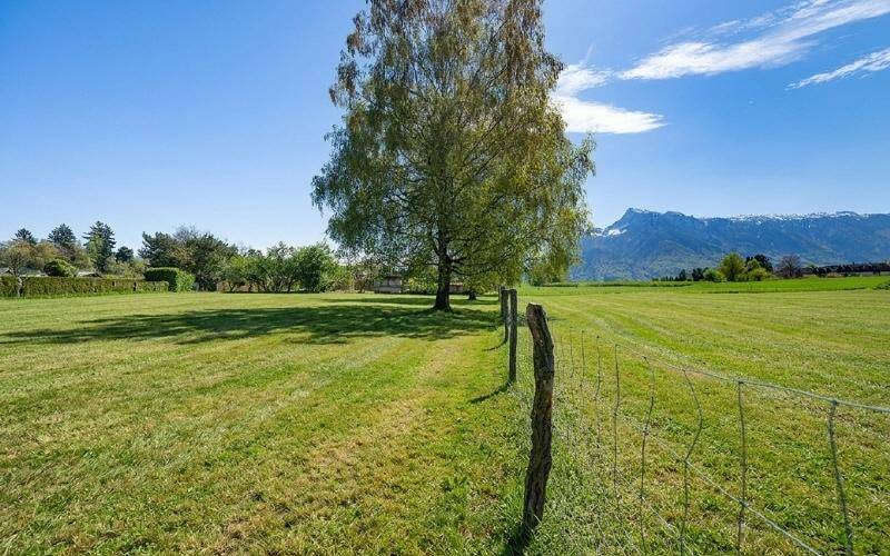 Grüne Wiese mit Zaun im Vordergrund, einem großen Baum und Bergen am Horizont unter blauem Himmel.