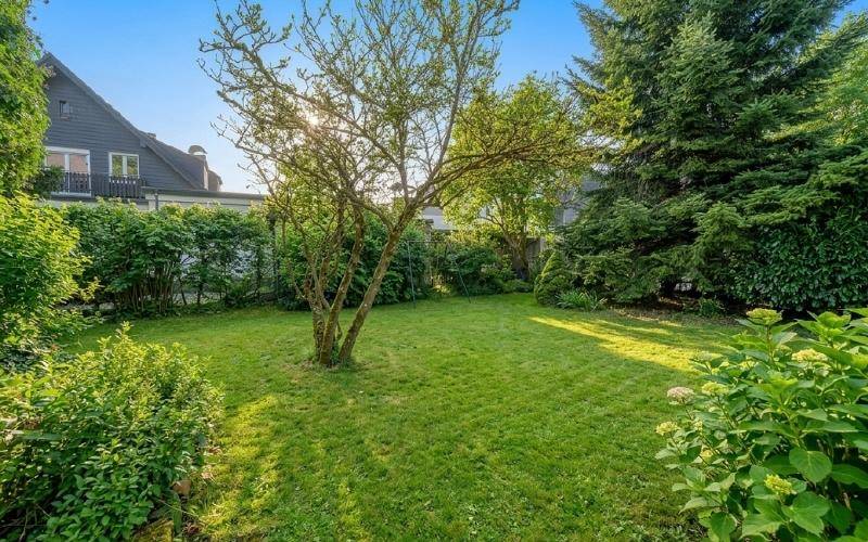 Sonniger Garten mit weitläufiger Rasenfläche und üppiger Bepflanzung am Nachmittag.