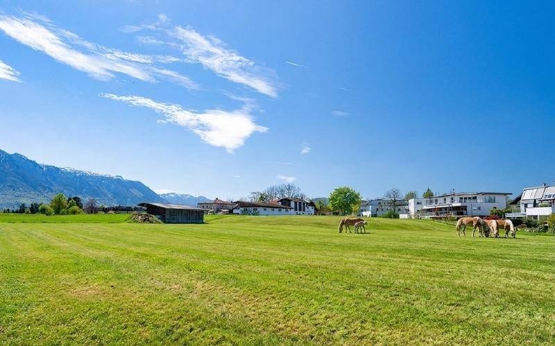 Idyllische grüne Wiese mit grasenden Pferden, umgeben von Häusern und einer beeindruckenden Bergkulisse.