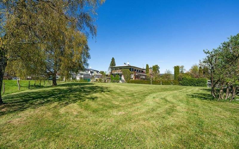 Weitläufige grüne Fläche mit einem großen Baum im Vordergrund und Wohnhäusern im Hintergrund.