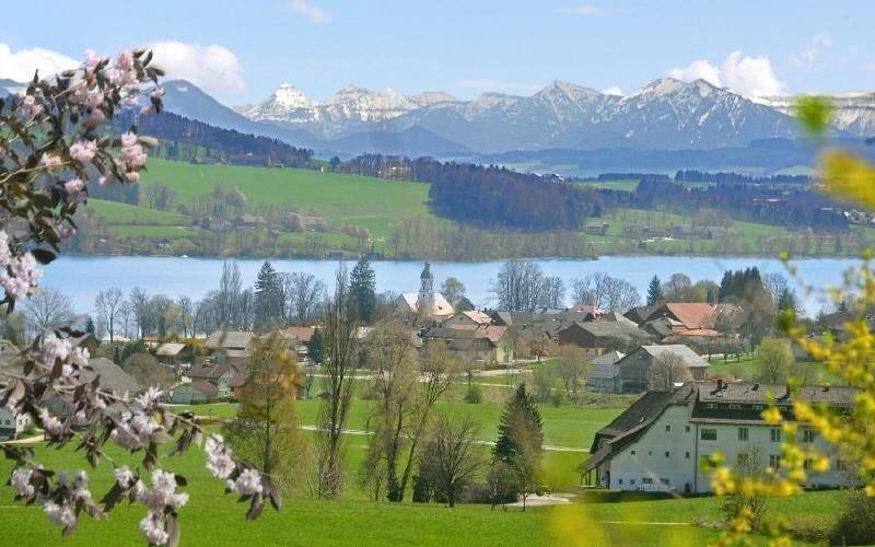 Idyllisches Dorf am Seeufer mit schneebedeckten Bergen im Hintergrund und blühenden Bäumen im Vordergrund.