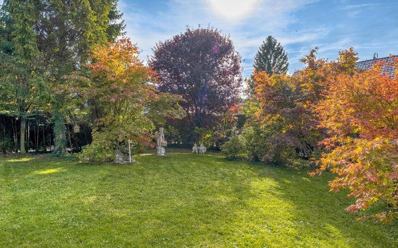 Gepflegter Garten mit Rasenfläche und vielfältigen Bäumen in herbstlicher Färbung.