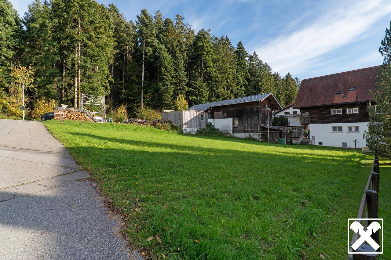 Grüne Wiese am Waldrand mit einem kleinen Gebäude und Holzstapeln im Hintergrund.