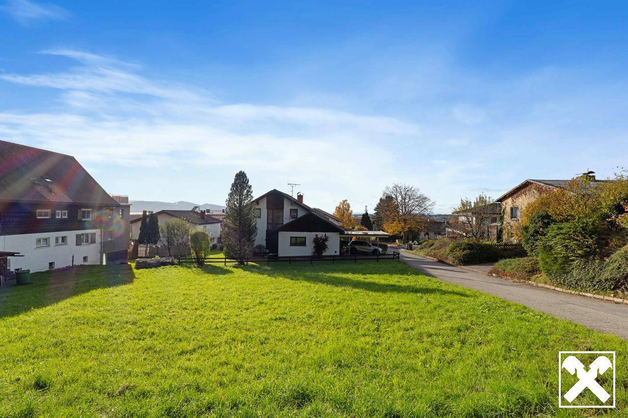 Grüne Wiese in einer ruhigen Wohngegend mit Häusern und einer Straße im Hintergrund.