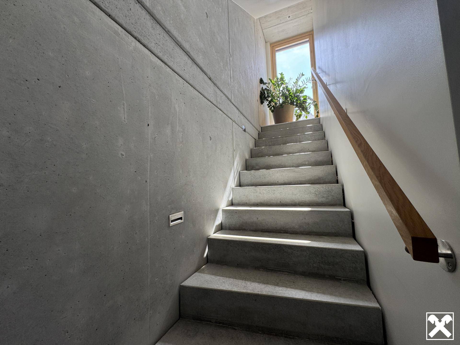 Beton-Treppe mit Holzhandlauf und natürlichem Lichteinfall durch ein Fenster.