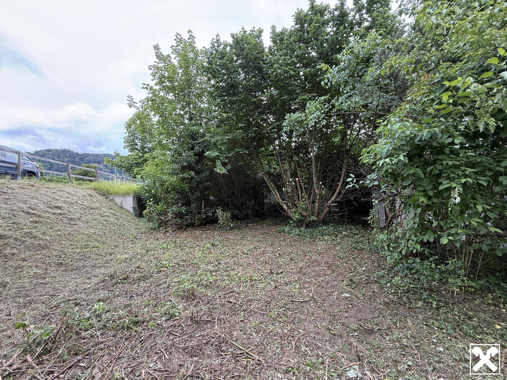 Verwildertes Grundstück mit dichter Vegetation und einem kleinen Hügel im Vordergrund.