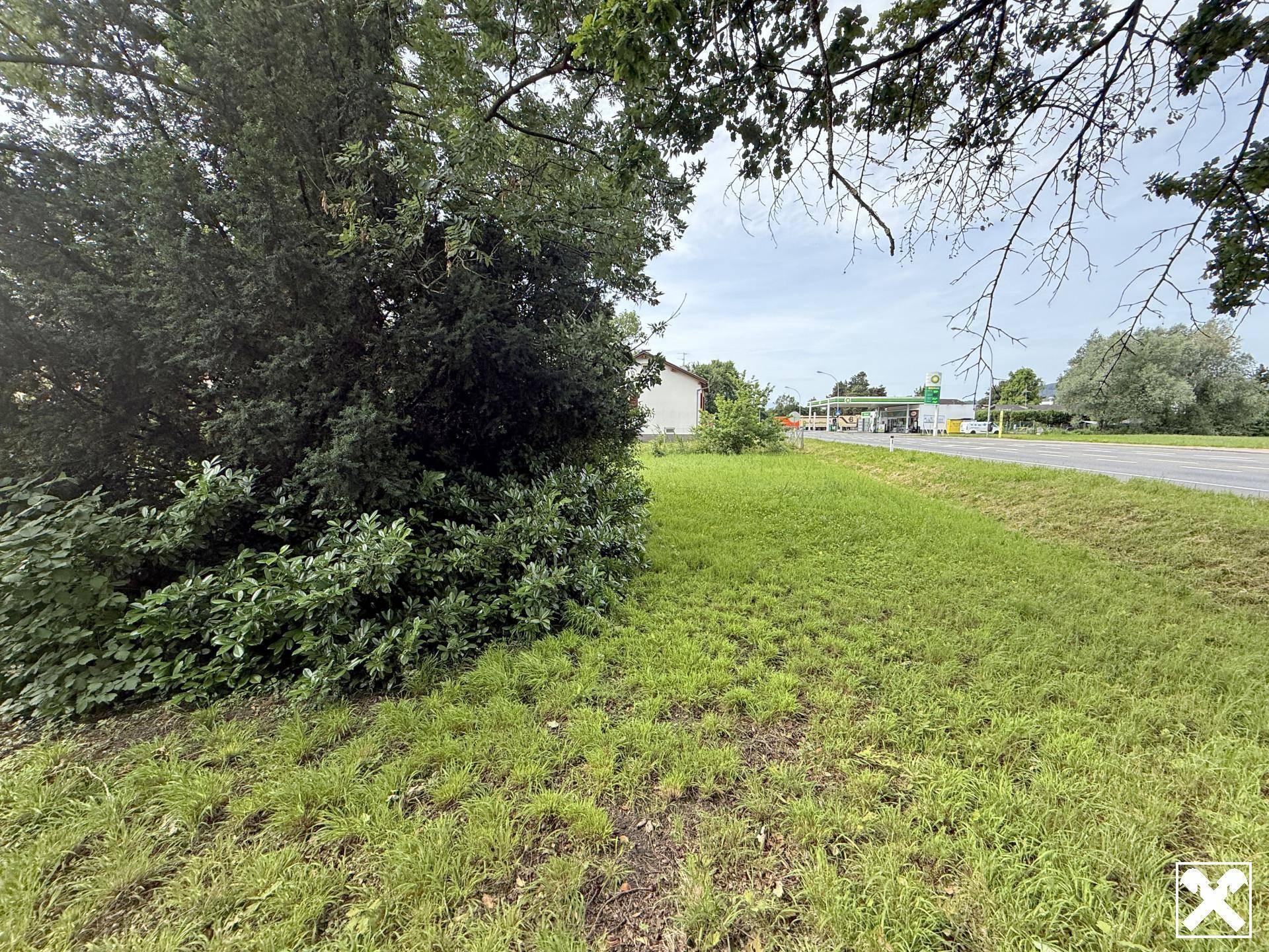 Grüne Wiese mit Bäumen und Büschen neben einer Straße, im Hintergrund eine Tankstelle.