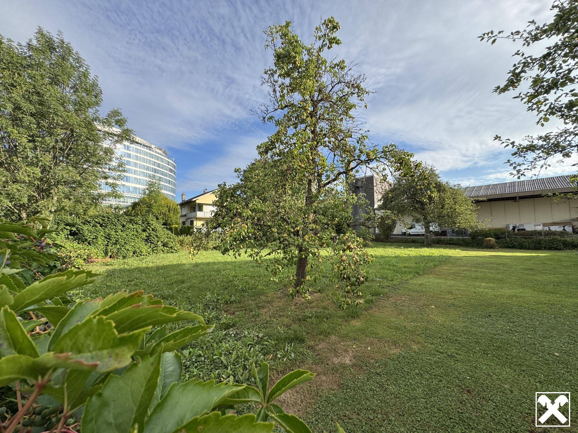 Grüne Gartenfläche mit Bäumen und Blick auf moderne Architektur in der Ferne.