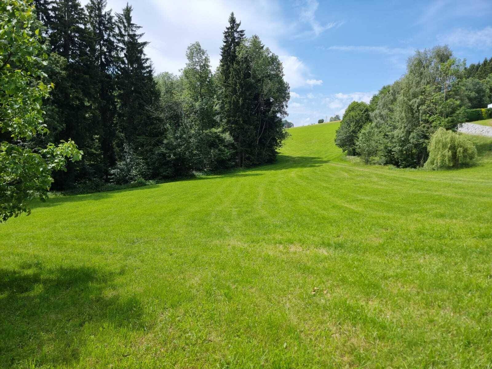 Weitläufige grüne Wiese mit Bäumen und bewaldetem Hintergrund unter blauem Himmel.