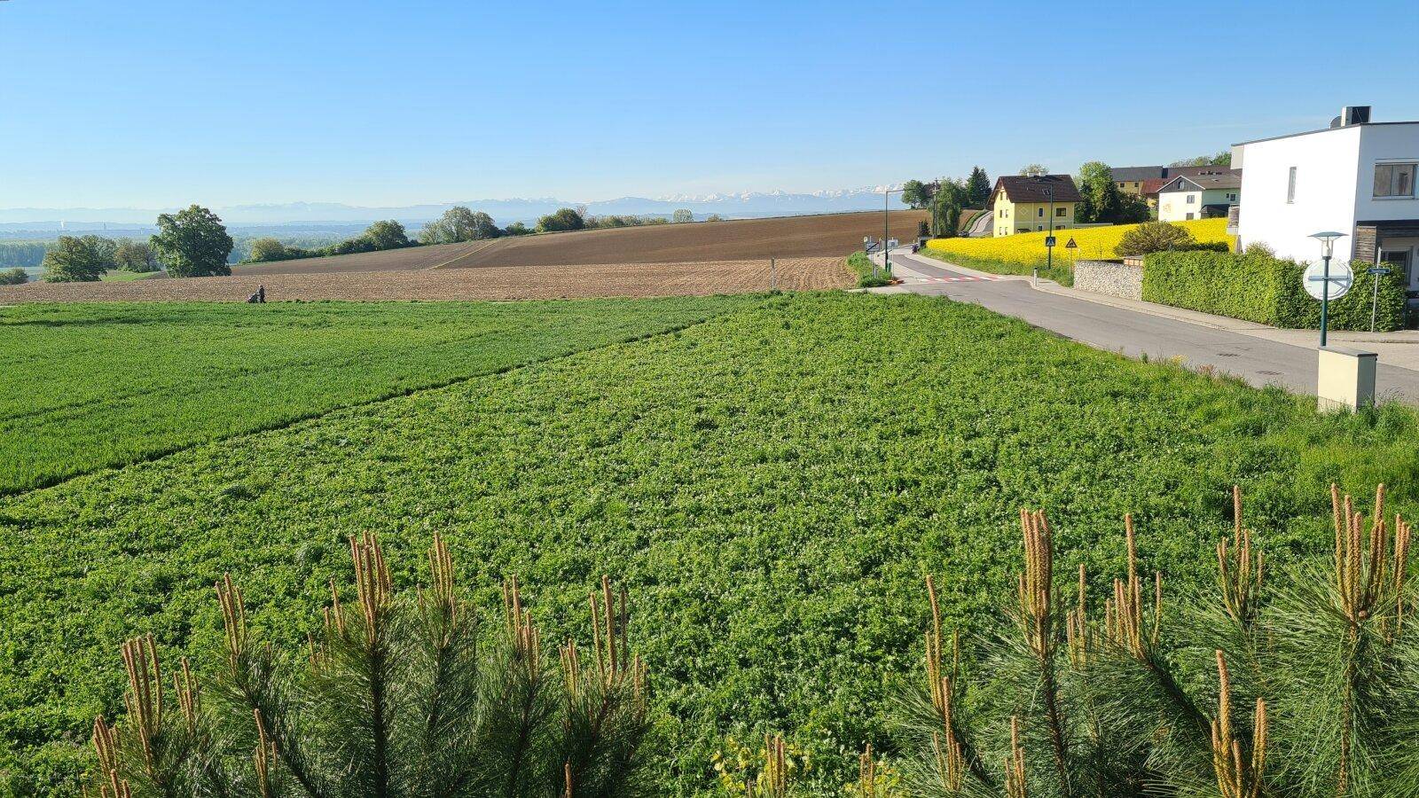 Weitläufiger Blick über grüne Felder und die ländliche Umgebung unter blauem Himmel.