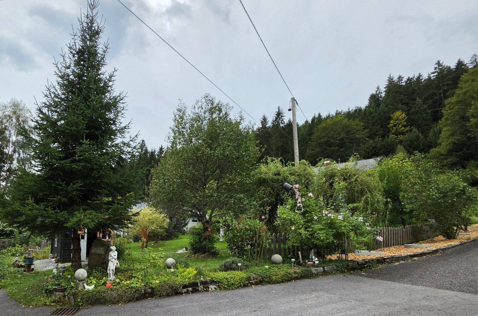 Gepflegter Gartenbereich mit Bäumen und Sträuchern, angrenzend an eine ländliche Straße.