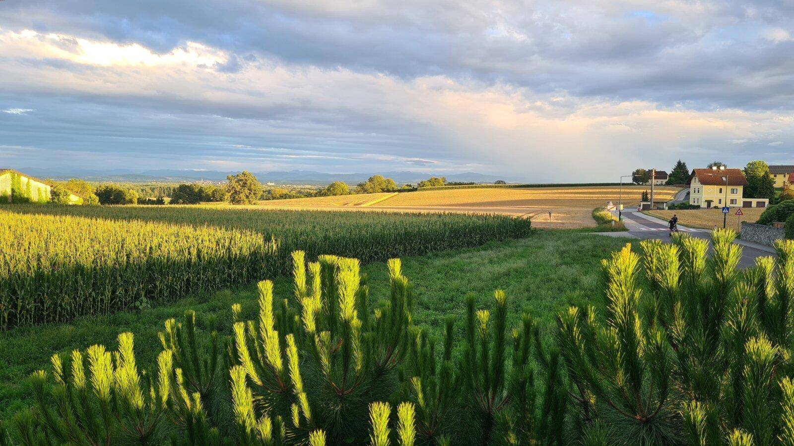 Weitläufiger Blick über grüne Felder und ländliche Umgebung unter einem bewölkten Himmel.