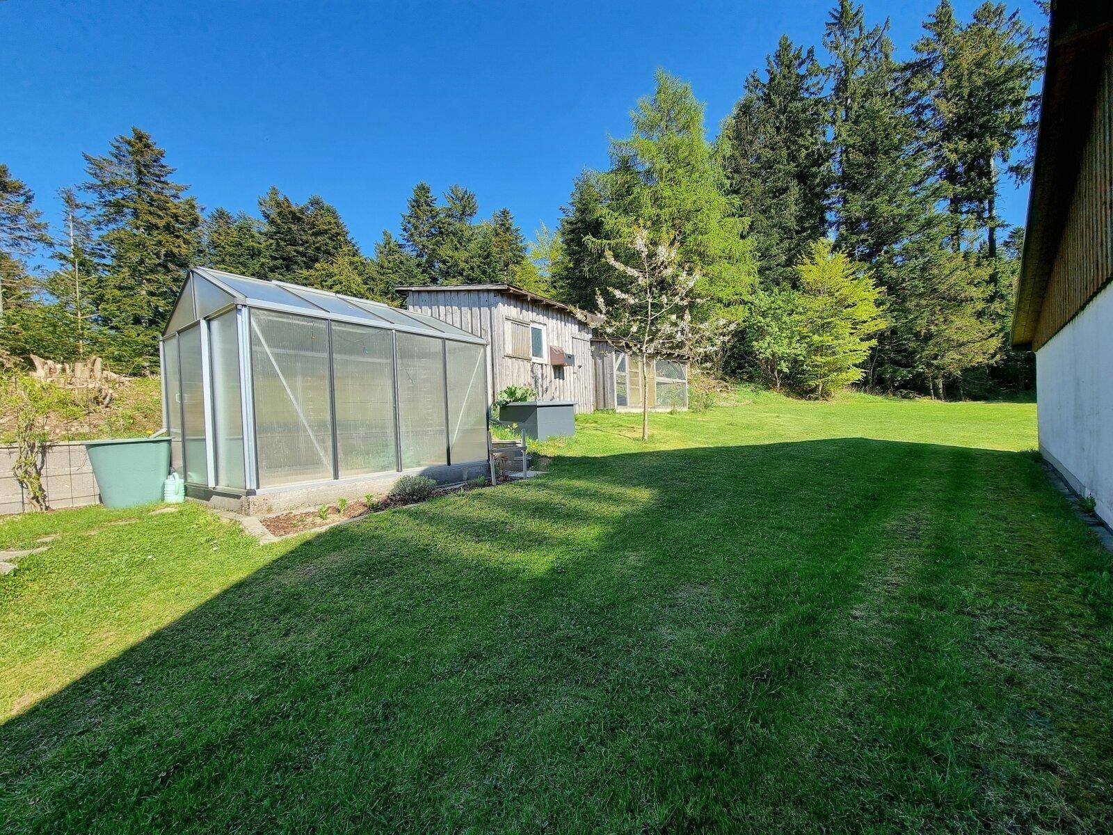 Gartenbereich mit Gewächshaus und Geräteschuppen, umgeben von hohen Bäumen und Rasenfläche.