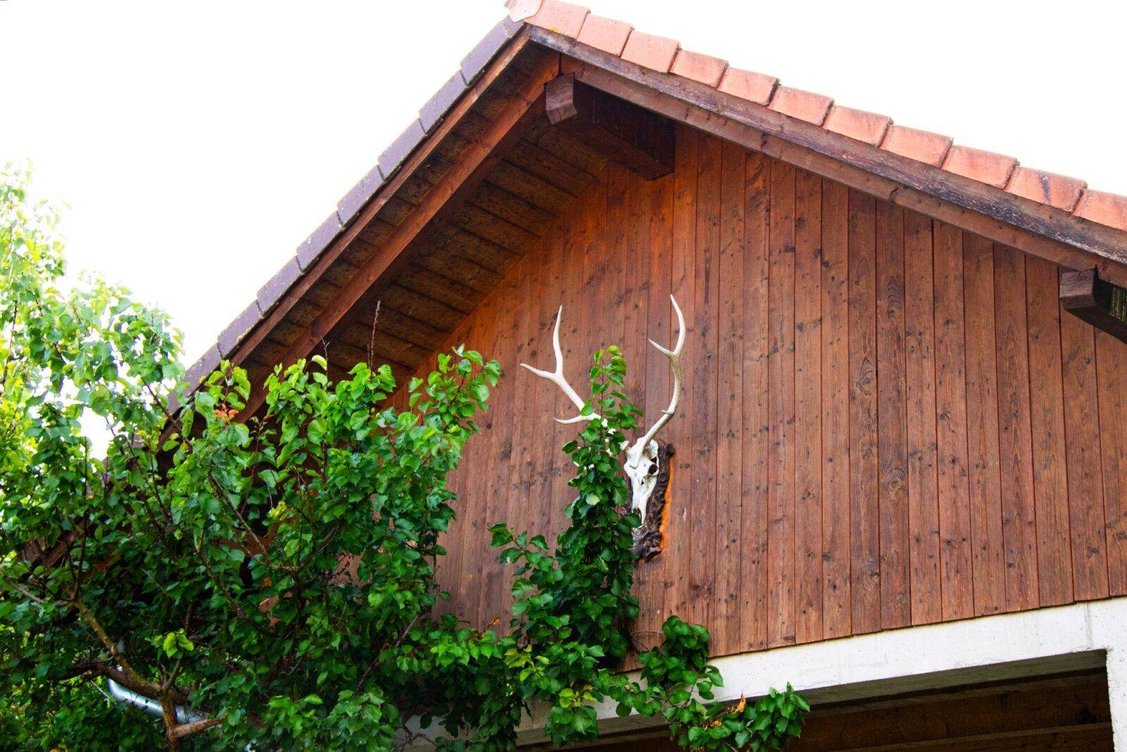 Garage/ Holzlaube