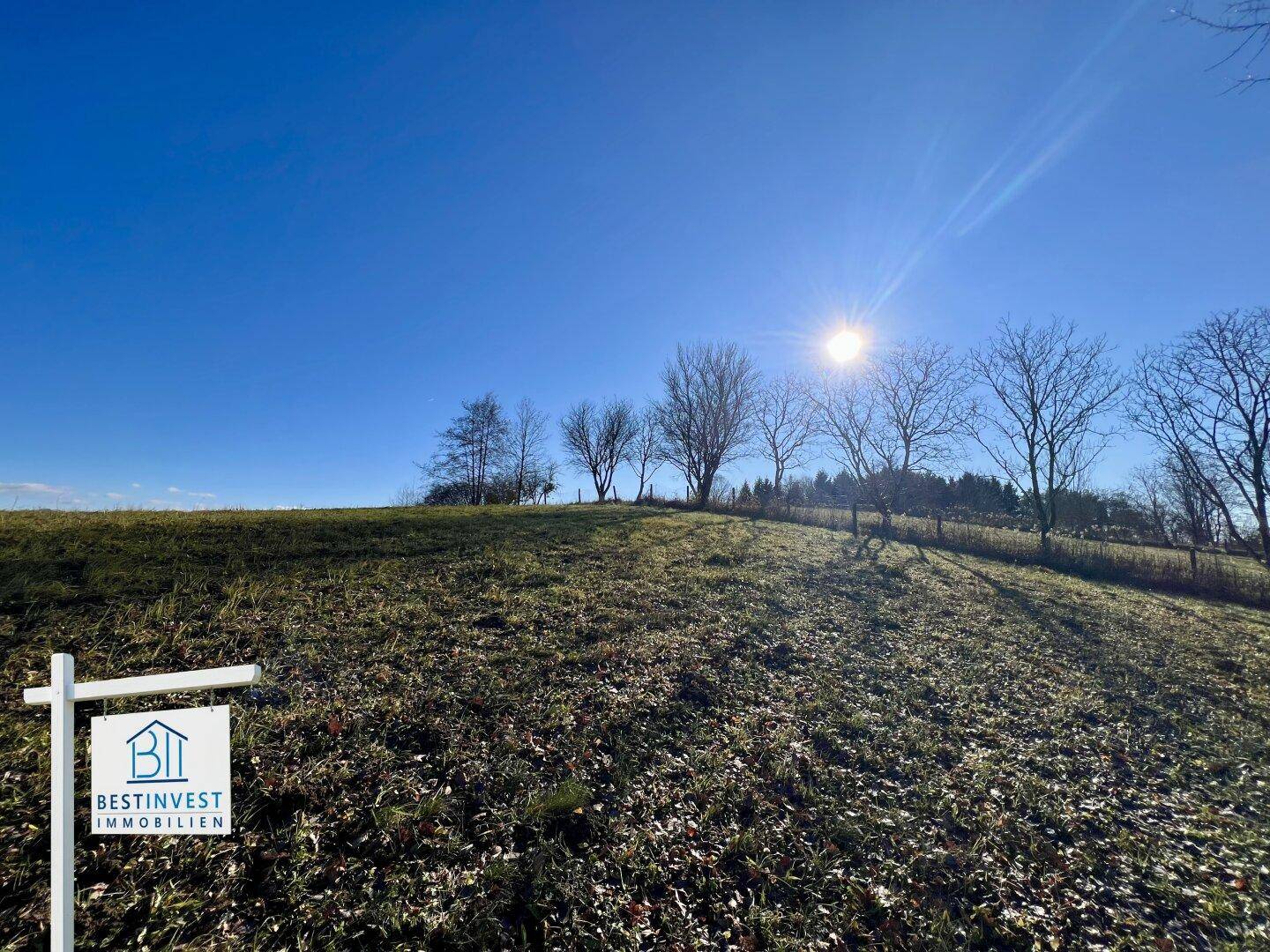 Sonniger Baugrund mit Fernblick im Südburgenland - Ansicht 3