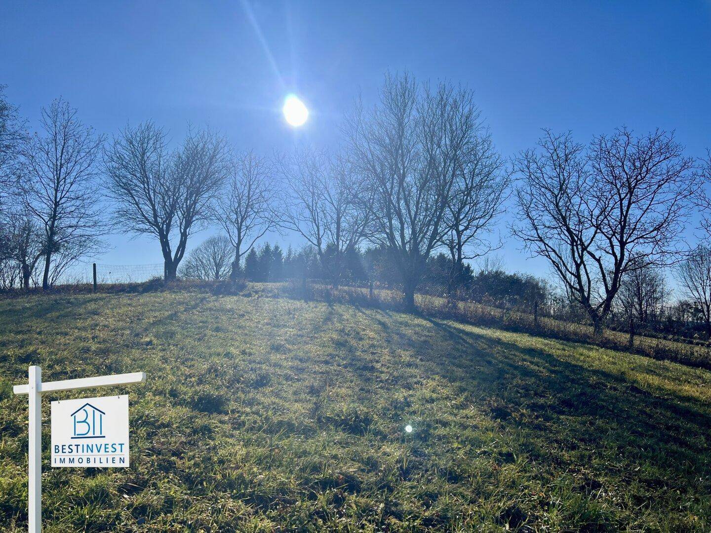 Sonniger Baugrund mit Fernblick im Südburgenland - Ansicht 4