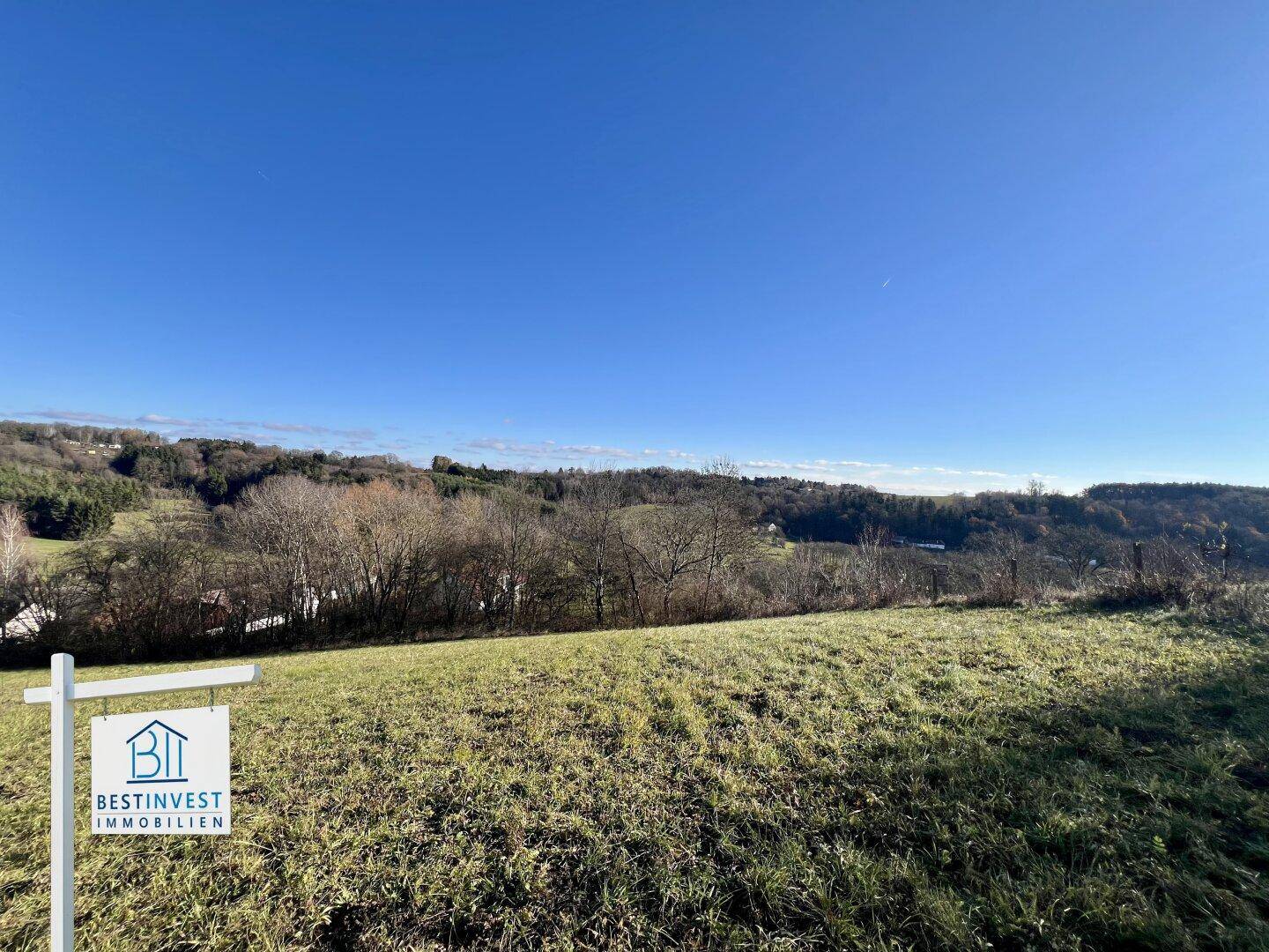 Sonniger Baugrund mit Fernblick im Südburgenland - Ansicht 5