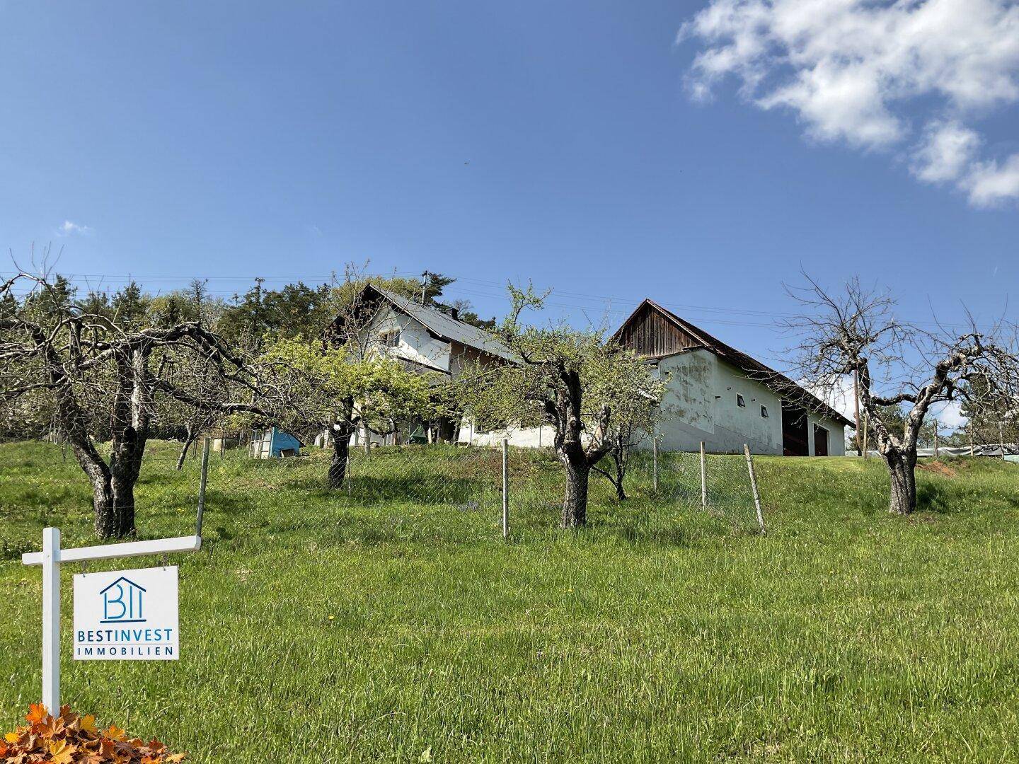 Weitläufiges Grundstück mit einem Haus und alten Obstbäumen, umgeben von grünen Wiesen.