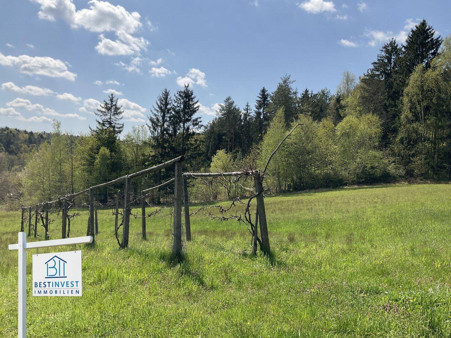 Weitläufige Wiesenfläche mit Holzpfählen und Waldrand im Hintergrund unter blauem Himmel.