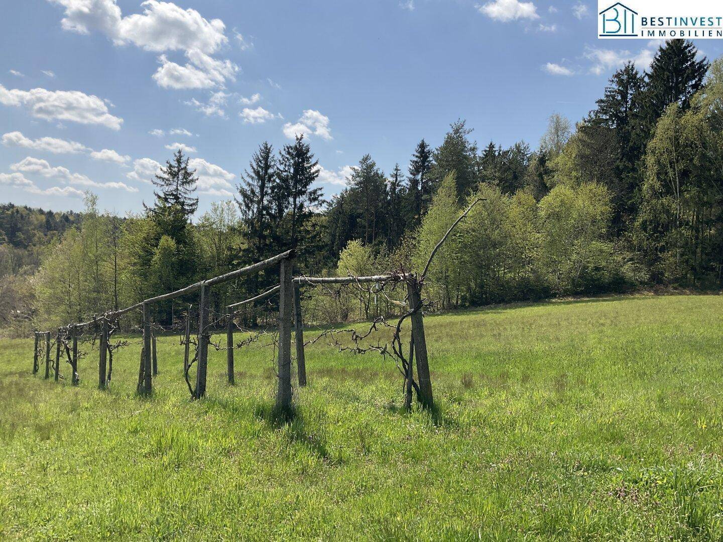 Weitläufige grüne Wiesenfläche mit Holzpfählen und Bäumen im Hintergrund unter blauem Himmel.