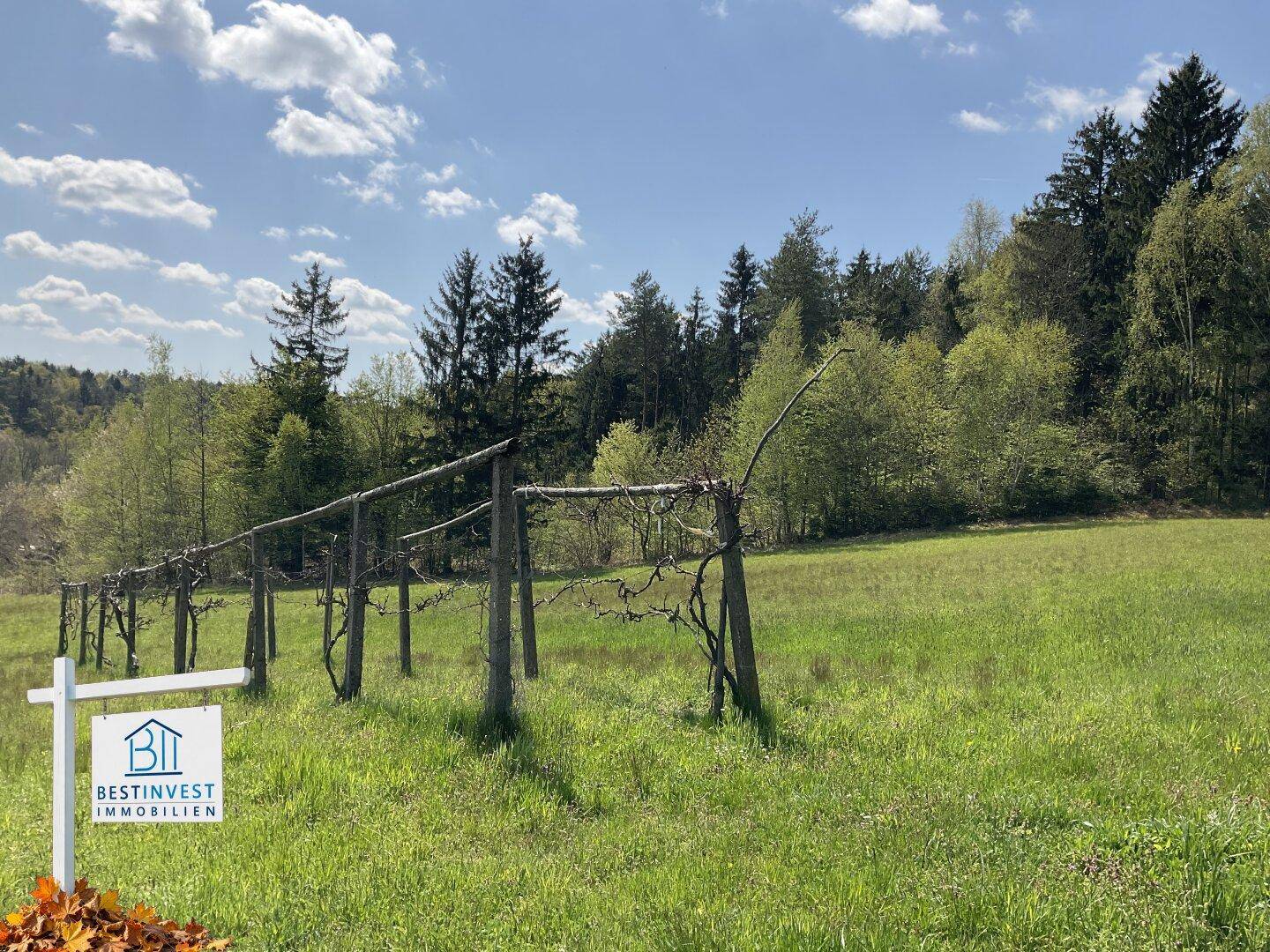 Ländliche Landschaft mit einer Rebenstruktur in einem Feld, umgeben von Wald und Wiesen.