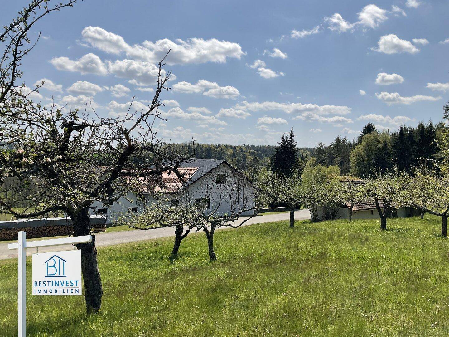 Anwesen umgeben von blühenden Obstbäumen und grünen Wiesen in ländlicher Idylle.