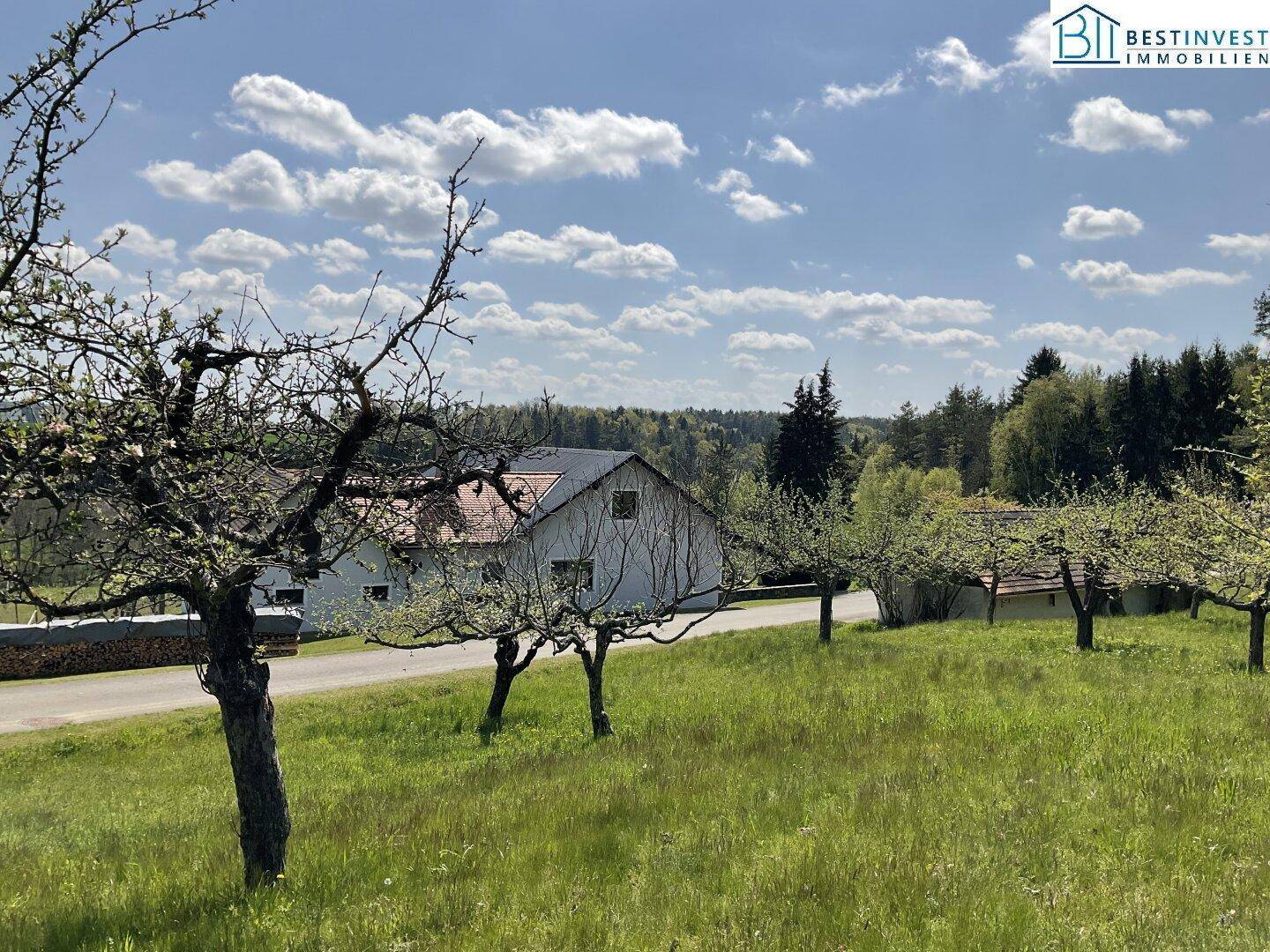 Ländliches Anwesen mit alten Obstbäumen im Vordergrund und weitem Blick über die Landschaft.