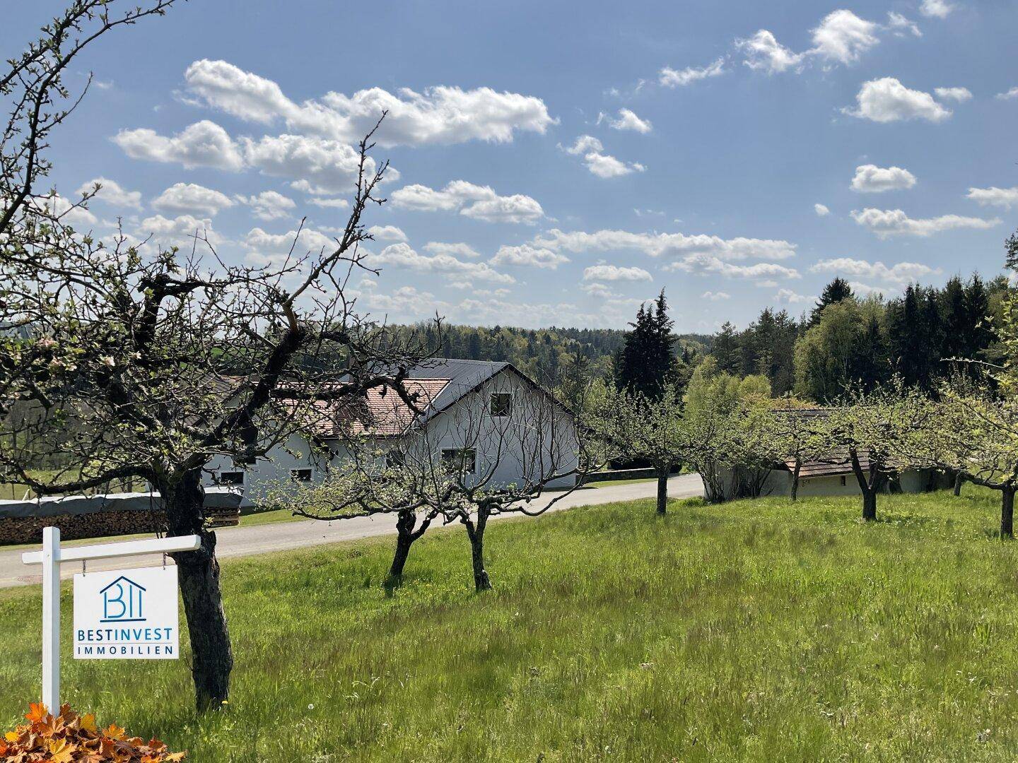 Haus in ländlicher Umgebung, umgeben von blühenden Obstbäumen und grünen Wiesen.