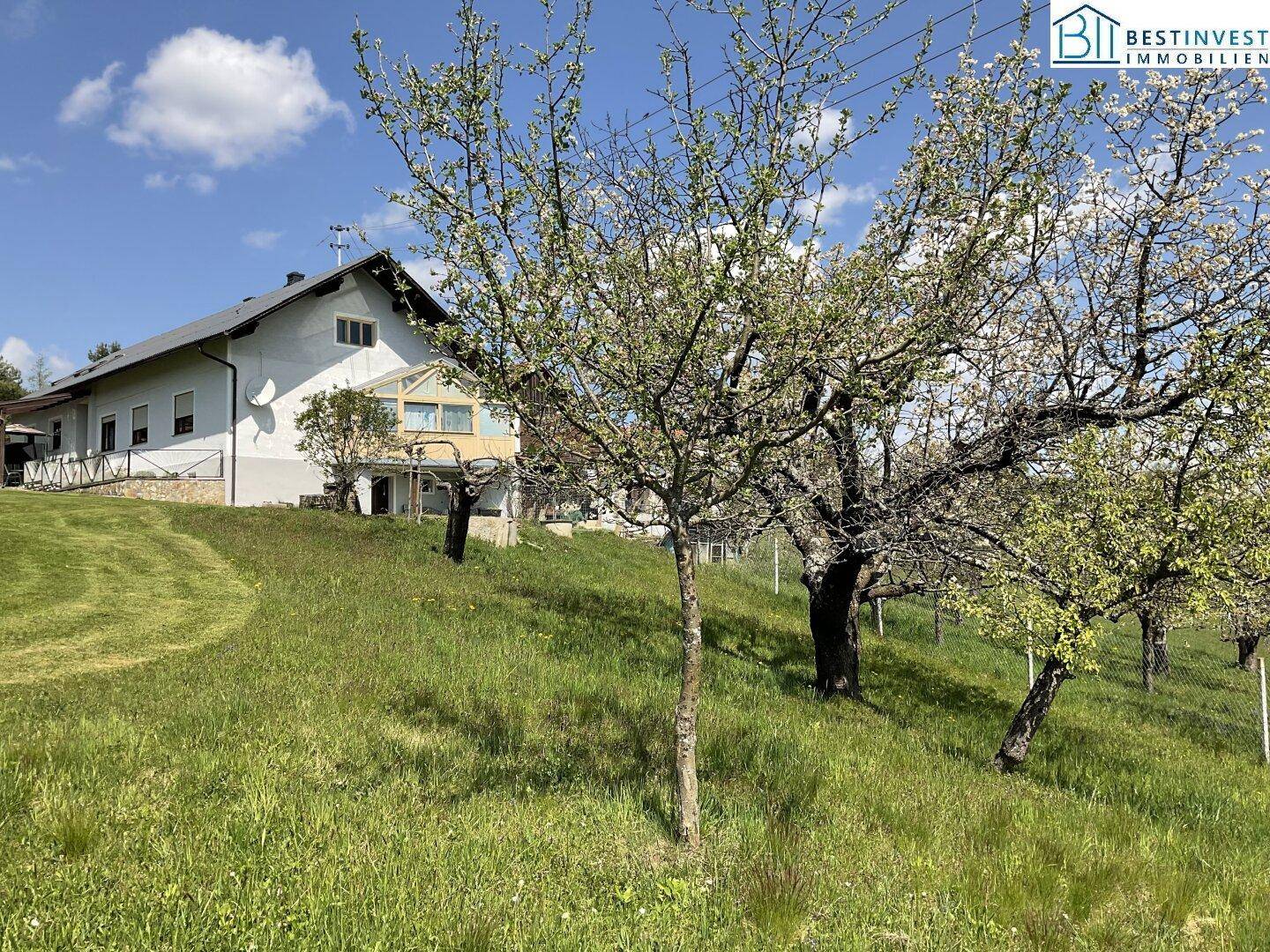 Wohnhaus auf einem Hügel mit grünen Wiesen und blühenden Obstbäumen unter blauem Himmel.