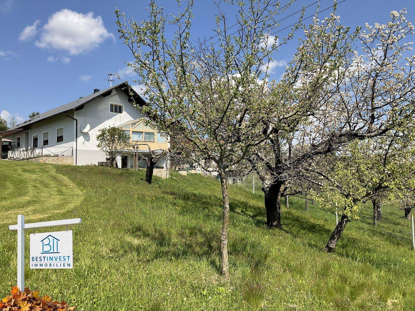 Haus auf einem Hanggrundstück mit blühenden Obstbäumen und weitem Blick in die Natur.