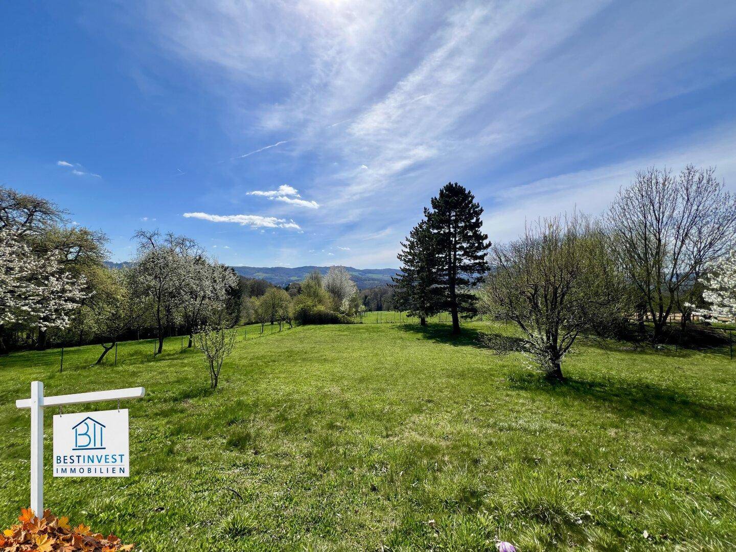 Weitläufige grüne Landschaft mit Bäumen und Fernblick unter blauem Himmel, ideal für Naturliebhaber.