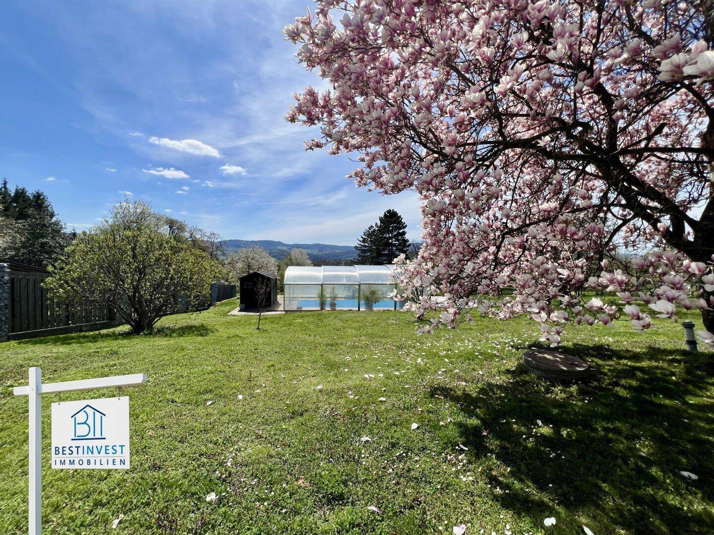 Weitläufiger Garten mit blühendem Magnolienbaum, Rasenfläche und überdachtem Pool.