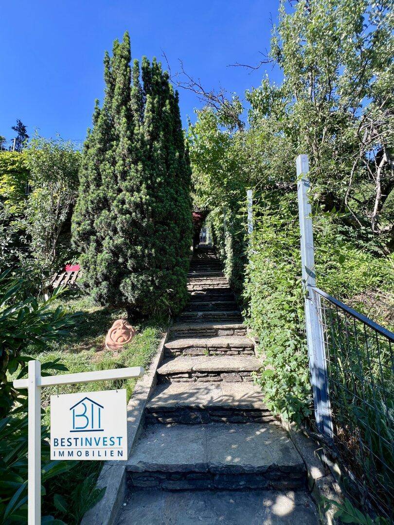 Lange Steintreppe im Garten, gesäumt von Hecken und hohen Bäumen unter blauem Himmel.