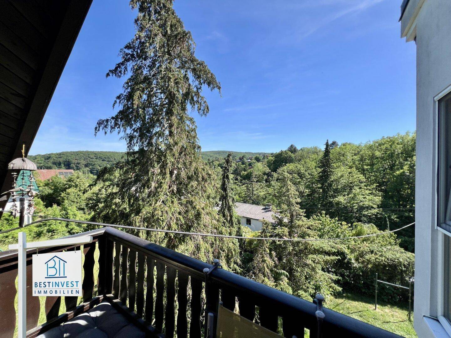 Balkon mit Holzbalken und weitem Blick über grüne Baumwipfel und die Landschaft.