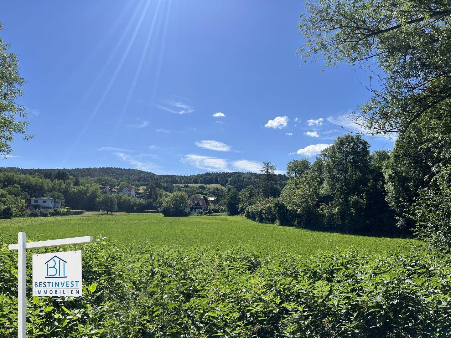 Sonniges grünes Feld mit üppiger Vegetation und einem weiten Blick auf die hügelige Landschaft.